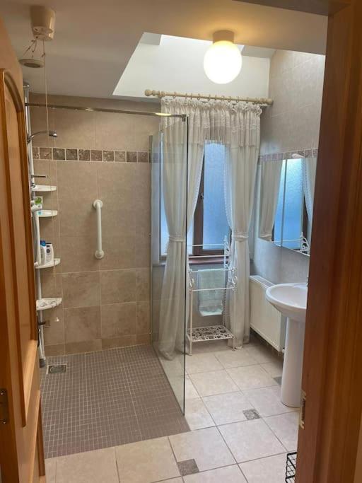Borodino Studio Apartment Enniscorthy Exterior foto