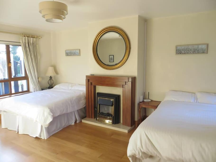 Borodino Studio Apartment Enniscorthy Exterior foto